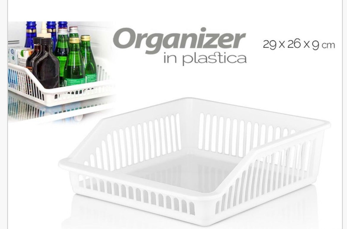 Organizer in plastica