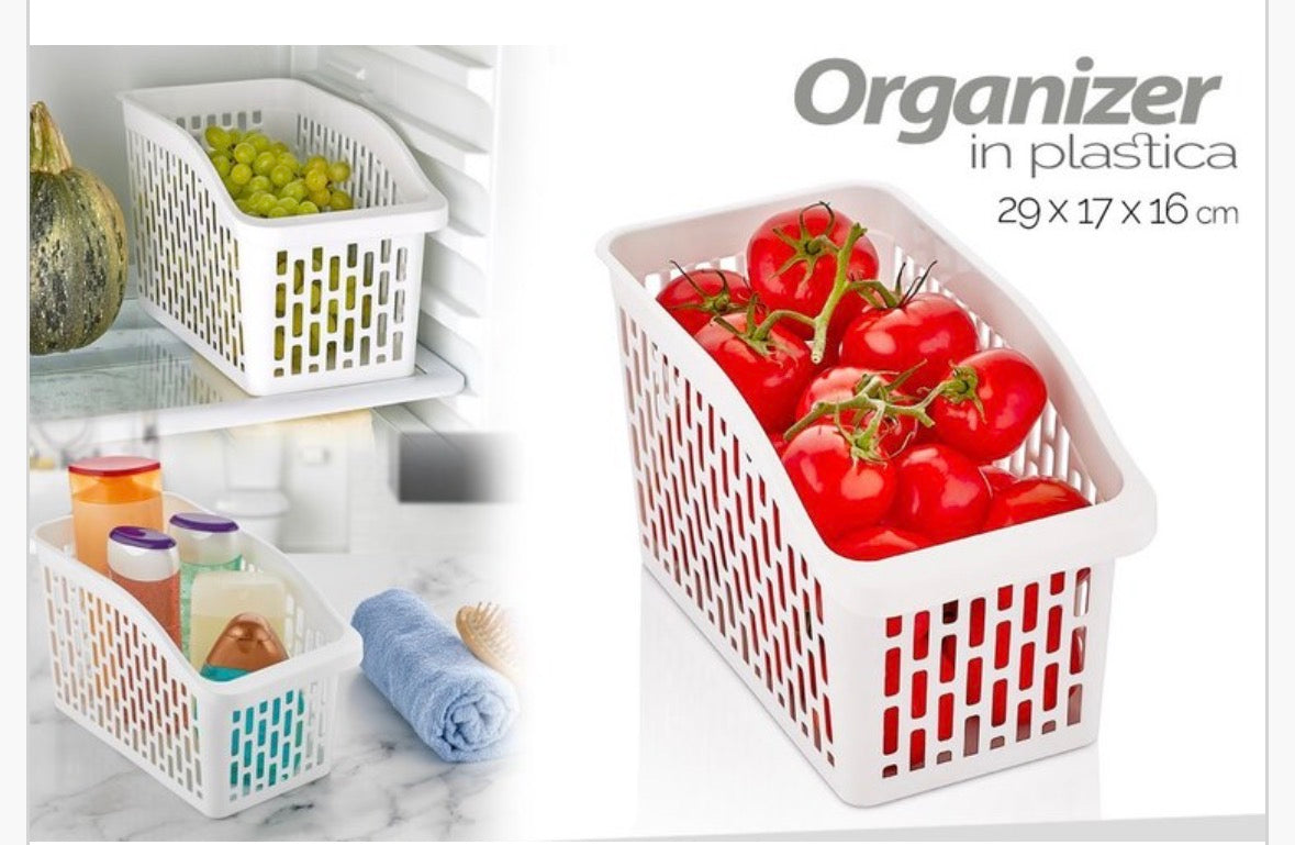 Organizer in plastica